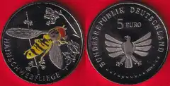  Vokietija 5 euro 2024 "Grove hoverfly" Spalv. UNC 